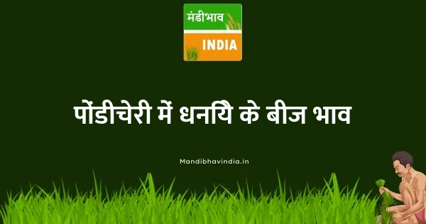 धनिये के बीज भाव